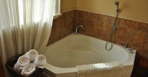 Spacious tub and hand-held shower in each birth suite.
