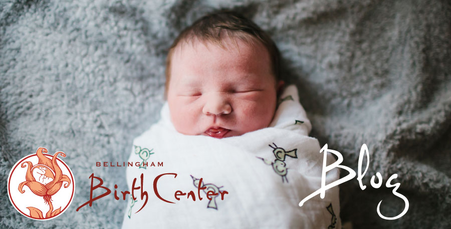 Bellingham Birth Center