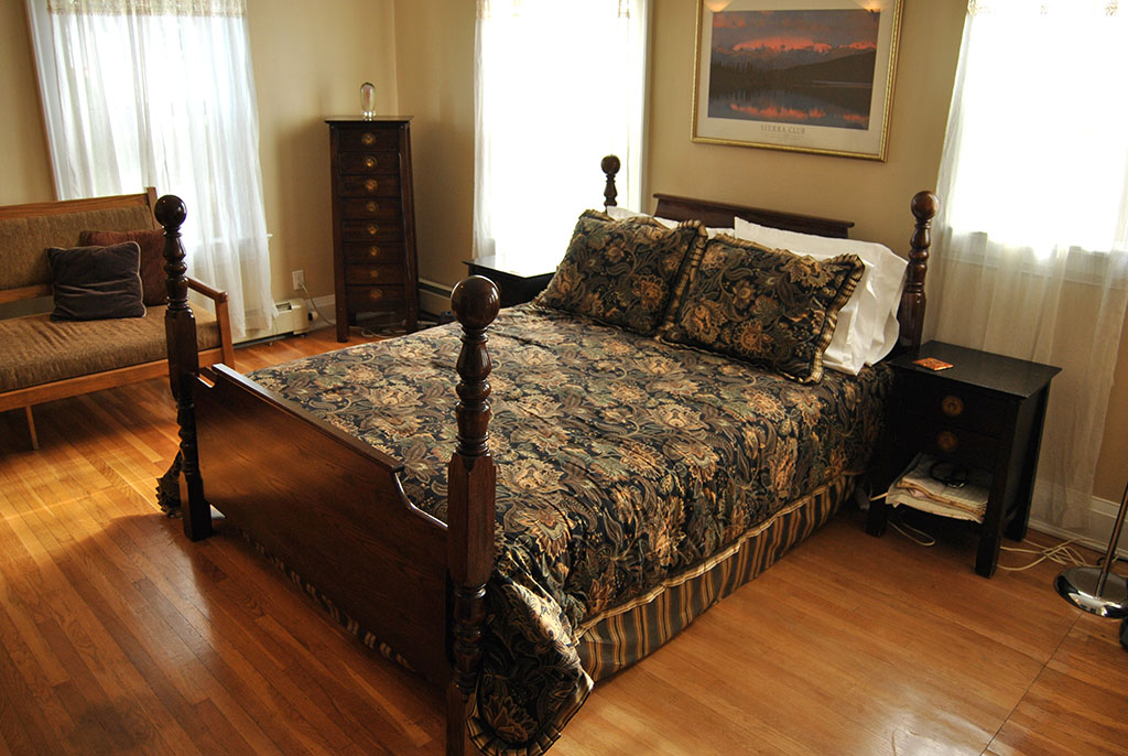 Birth Suite 1 Bed and couch